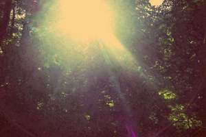 梦见自己被开刀做手术(梦见自己被开刀手术意味着什么)