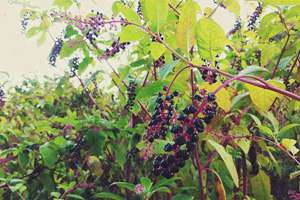 腮骨面相(如何看一个人腮骨面相运势好不好)