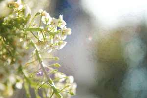 梦见给别人扎头发(梦见给人扎头发有什么预兆)