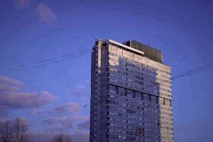 梦见捏死蜂(梦见捏死一只蜂子意味着什么)