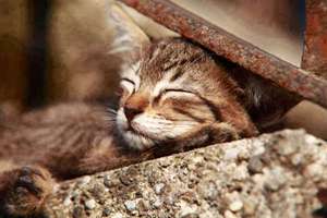 梦见孩子得病(梦见小孩生病什么预兆)