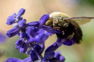 梦见安全帽(做梦梦见安全帽是什么预兆)