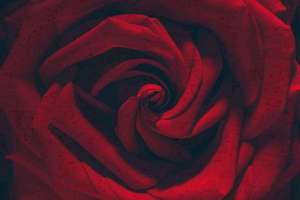 竹起名(竹字起名搭配什么字)