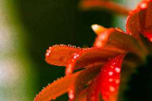 梦见已故领导(梦见死去领导有什么预兆)