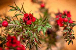 梦见自己在救人(梦见救人是什么预兆)