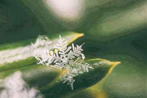 老梦见老公出轨(为什么我总是梦到老公出轨)