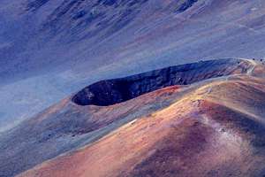 梦见冬笋(梦见竹笋是什么意思)