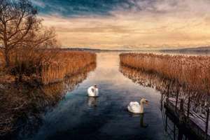 梦见自己去世的爷爷(梦见自己去世的爷爷有什么预兆)