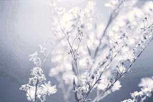 梦见住院了是什么意思(做梦梦见自己住院好不好)