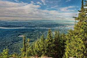 梦见大白公鸡(梦见白色大公鸡是什么意思)