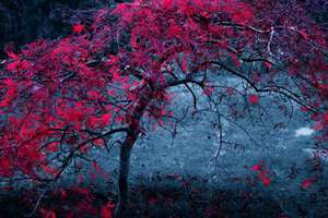 梦见自己在挂水(周公解梦梦到自己输液是什么意思)