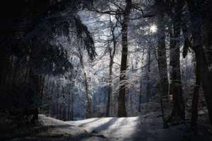 紫砂壶起名(1001篇紫砂笔记)