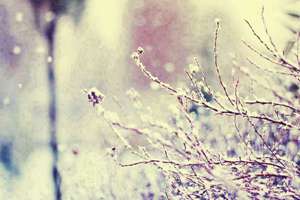 梦见手有血(梦见自己手流血了有什么征兆)