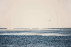 娉是什么生肖(娉字取名寓意及含义)