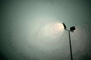 梦见满地蛆(梦见满地都是蛆虫有什么预兆)