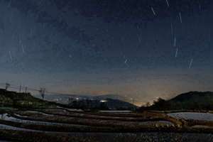 乙卯日生于各月各时辰详解(乙卯日出生月份看富贵)