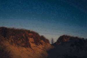 梦见自己在骑自行车(梦见自已骑自行车有什么预兆)