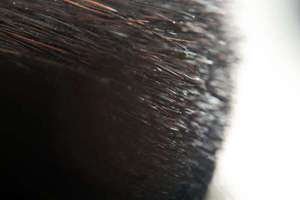 梦见很多人在一起睡觉(梦到了很多人一起睡觉意味什么)