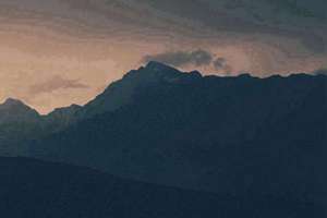 梦见很多小蜜蜂(梦见一群蜂是什么意思)