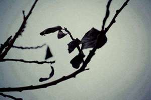 刷牙起名(牙刷起什么名字好呢)