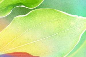 梦见车倒了(梦到了车倒了会是什么预兆)