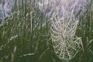 修字起名(寓意生活越来越好的名字)