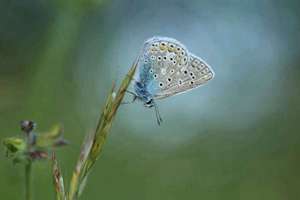 梦见尿裤(周公解梦梦到尿裤子是什么意思)