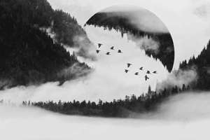 梦见老公背叛(梦见老公背叛了有什么预兆)