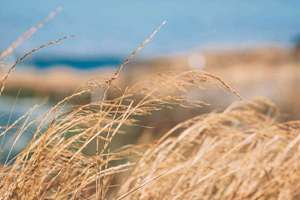 梦见好朋友生病(梦见朋友生病了是什么意思)