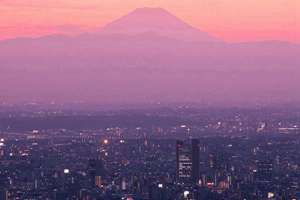 梦见水库抓鱼(梦见水库抓鱼是什么征兆)