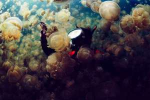 孙德起名(孙德名字的含义是什么意思)