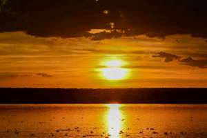 梦见水濑(梦见水獭是什么预兆)