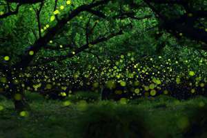 宋词起名字(宋词精选取名)