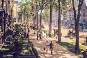 梦见很多老鼠跑来跑去(梦见很多大老鼠跑来跑去意味着什么)