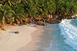 易姓起名大全(姓易有哪些不落俗套的名字)