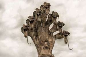 红包群起名(红包群取什么名字好听)