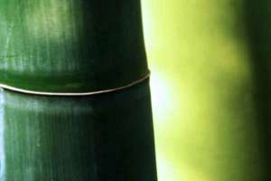 开字起名(开字取名的寓意是什么)