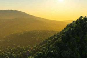 半打是多少瓶(半打是多少)