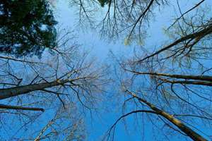 梦见手蜕皮(梦见手脱皮是什么意思)