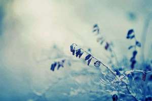 梦见掏下水(梦到掏下水道是什么意思)