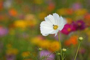 好听冥界名字(冥界名字大全100分)