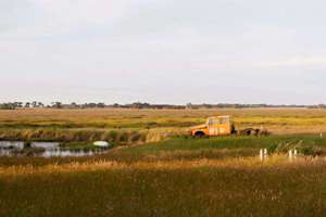 梦见给别人洗头(梦见我给别人洗头有什么预兆)