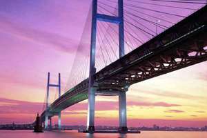 猫咪起名字大全可爱的(46个好听的猫咪名)