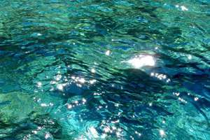 梦到父母(梦见父母代表什么意思)