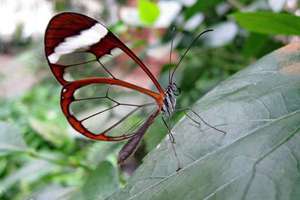梦见别人坐痰盂大便好不好(梦见别人坐痰盂大便)