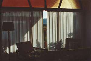 女人梦见特别大的乌龟(女人梦到特别大的乌龟预示着什么)