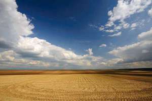 梦见旧房改造(梦见旧房改造什么预兆)