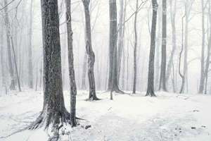 可字起名女孩名字(可字取名女孩名字大全)