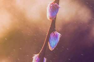 五行喜金起名(五行属喜金寓意最好的名字)