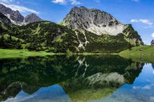 梦见摘粽叶(梦见摘粽子叶有什么预兆)